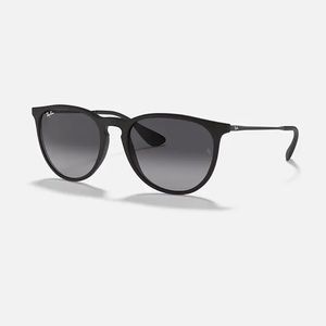 Ray-Ban Erika Classic (sunglasses)